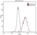 CISD2 Antibody in Flow Cytometry (Flow)