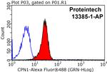 CPN1 Antibody in Flow Cytometry (Flow)