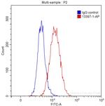 MIP-3-beta Antibody in Flow Cytometry (Flow)