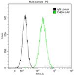 Occludin Antibody in Flow Cytometry (Flow)