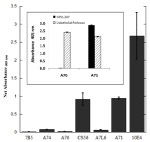 Perlecan Antibody in ELISA (ELISA)