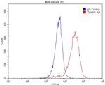 PDGFRB Antibody in Flow Cytometry (Flow)