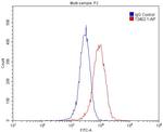 IL22RA1 Antibody in Flow Cytometry (Flow)