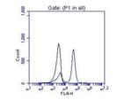 OTX2 Antibody in Flow Cytometry (Flow)