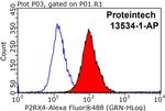 P2RX4 Antibody in Flow Cytometry (Flow)