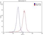 GRIK2 Antibody in Flow Cytometry (Flow)