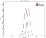 VEGFR-1/FLT-1 Antibody in Flow Cytometry (Flow)