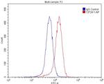 EPHA8 Antibody in Flow Cytometry (Flow)