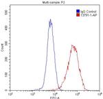 Spartin/SPG20 Antibody in Flow Cytometry (Flow)