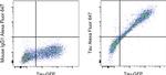 Tau Antibody in Flow Cytometry (Flow)