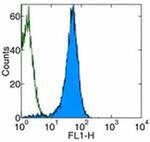 CD2 Antibody in Flow Cytometry (Flow)