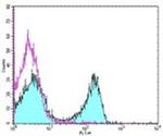 CD3e Antibody in Flow Cytometry (Flow)