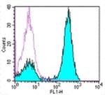 CD3 Antibody in Flow Cytometry (Flow)