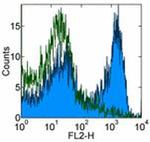 CD8b Antibody in Flow Cytometry (Flow)