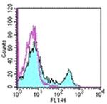 CD8a Antibody in Flow Cytometry (Flow)