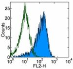 CD10 Antibody in Flow Cytometry (Flow)