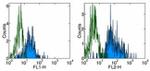 CD11c Antibody in Flow Cytometry (Flow)