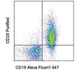 CD20 Antibody in Flow Cytometry (Flow)