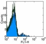 CD23 Antibody in Flow Cytometry (Flow)