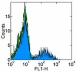 CD24 Antibody in Flow Cytometry (Flow)