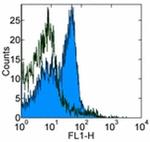 CD28 Antibody in Flow Cytometry (Flow)