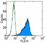 CD34 Antibody in Flow Cytometry (Flow)