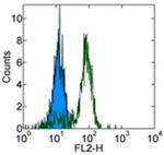 CD36 Antibody in Flow Cytometry (Flow)