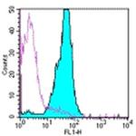 CD45.2 Antibody in Flow Cytometry (Flow)