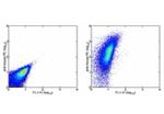 CD47 Antibody in Flow Cytometry (Flow)