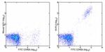 CD61 (Integrin beta 3) Antibody in Flow Cytometry (Flow)