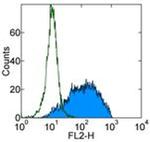 CD62E (E-selectin) Antibody in Flow Cytometry (Flow)