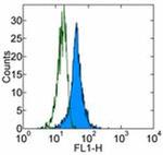 CD68 Antibody in Flow Cytometry (Flow)