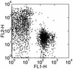 CD71 (Transferrin Receptor) Antibody in Flow Cytometry (Flow)