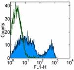 CD90.2 (Thy-1.2) Antibody in Flow Cytometry (Flow)