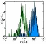 CD115 (c-fms) Antibody in Flow Cytometry (Flow)