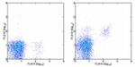 CD122 Antibody in Flow Cytometry (Flow)