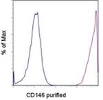 CD146 Antibody in Flow Cytometry (Flow)