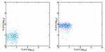 CD181 (CXCR1) Antibody in Flow Cytometry (Flow)