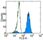 CD325 (N-Cadherin) Antibody in Flow Cytometry (Flow)