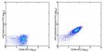 APC Antibody in Flow Cytometry (Flow)