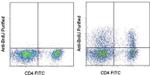 BrdU Antibody in Flow Cytometry (Flow)