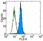 Lymphotoxin beta Receptor Antibody in Flow Cytometry (Flow)