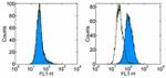 CD366 (TIM3) Antibody in Flow Cytometry (Flow)