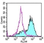 CD273 (B7-DC) Antibody in Flow Cytometry (Flow)