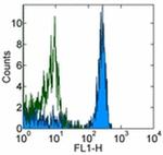 TER-119 Antibody in Flow Cytometry (Flow)