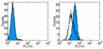 CD254 (RANK Ligand) Antibody in Flow Cytometry (Flow)