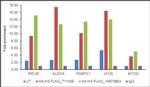 HA Tag Antibody in ChIP Assay (ChIP)