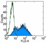 SSEA1 Antibody in Flow Cytometry (Flow)