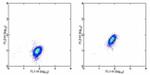 c-Met Antibody in Flow Cytometry (Flow)