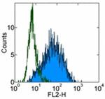 TRA-1-60 (Podocalyxin) Antibody in Flow Cytometry (Flow)